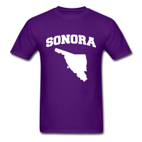 Load image into Gallery viewer, Sonora Mexico Unisex Classic T-Shirt - purple
